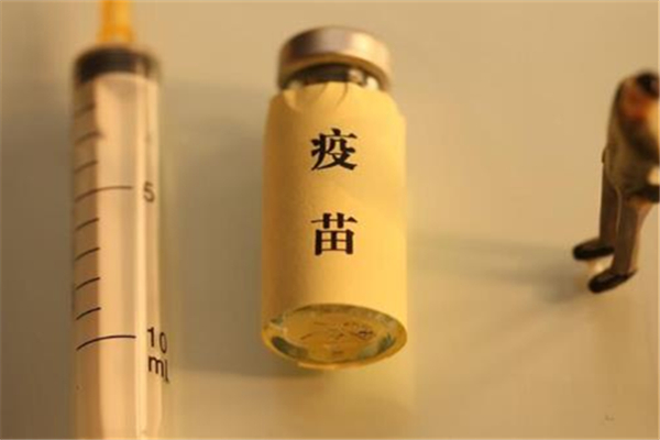 新冠疫苗接種信息在哪查詢(xún) 新冠疫苗接種信息多久能查到