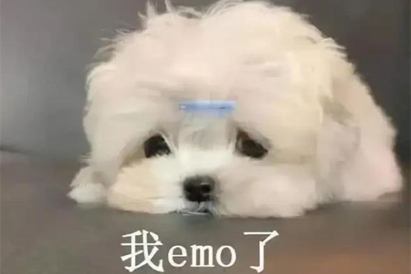 冤種姐妹是什么意思網(wǎng)絡(luò)用語(yǔ) 網(wǎng)絡(luò)用語(yǔ)by是什么意思