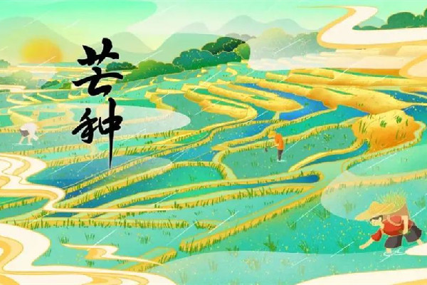 芒種節(jié)氣在陽歷的幾月 芒種節(jié)氣的來歷和風俗