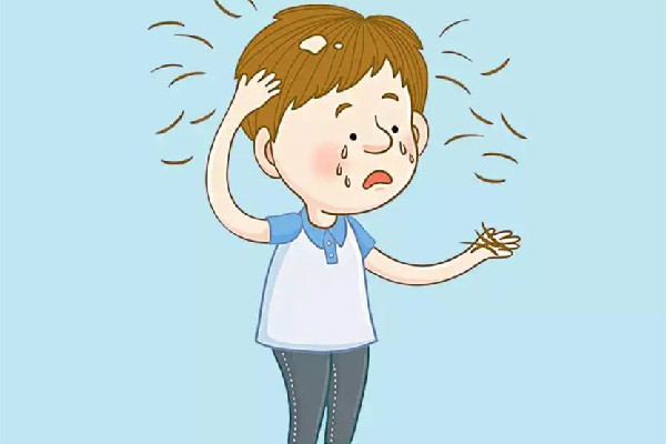 掉發(fā)可以用中藥調理嗎 掉發(fā)喝中藥要多久見效