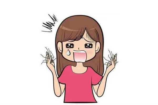 掉發(fā)可以用中藥調理嗎 掉發(fā)喝中藥要多久見效
