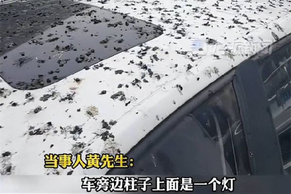 男子停車半小時車身獨(dú)得鳥屎全覆蓋 停車為什么要收費(fèi)