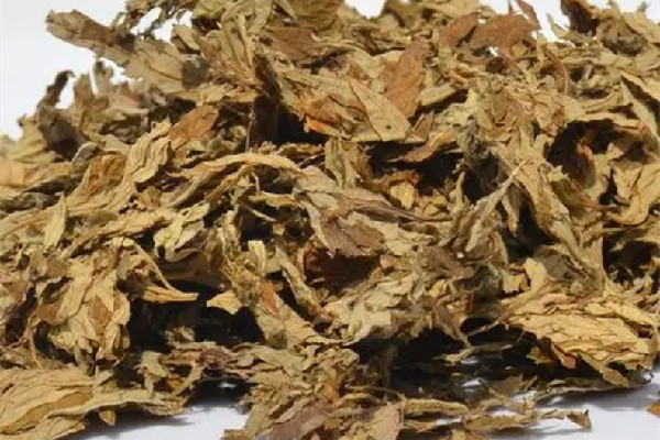 艾草多長時(shí)間熏一次 艾草熏煙對(duì)人體有害嗎