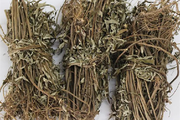 艾草多長時(shí)間熏一次 艾草熏煙對(duì)人體有害嗎