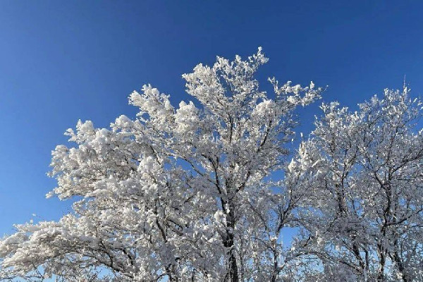 數(shù)九是按陰歷還是陽(yáng)歷 數(shù)九的來歷和風(fēng)俗